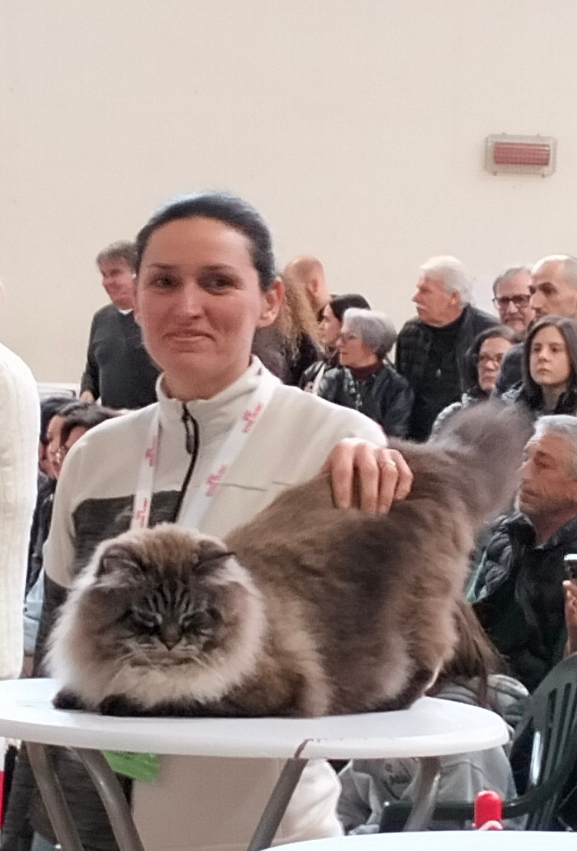 Anna con Ernesto a un'esposizione felina