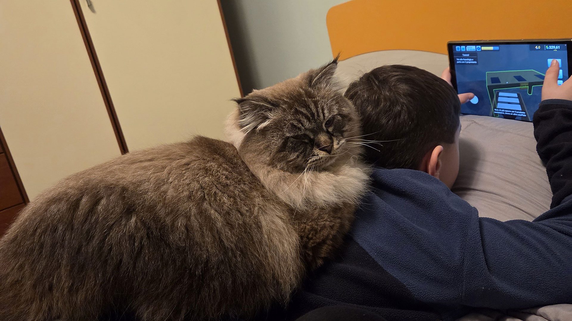 Uno dei nostri gatti sdraiato accanto a un bambino che gioca al tablet
